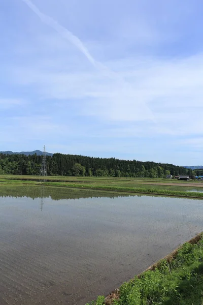 Frühling Reisfeld Akita Japan Landschaft — Stockfoto