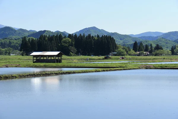 Spring Rice Field Akita Japan Landscape — Stock Photo, Image