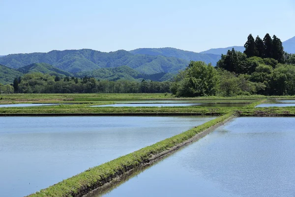 Frühling Reisfeld Akita Japan Landschaft — Stockfoto