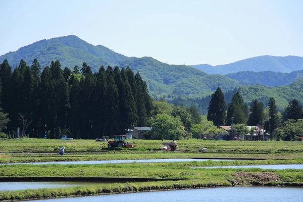 Frühling Reisfeld Akita Japan Landschaft — Stockfoto