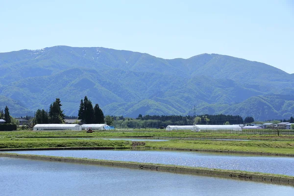 Bahar, pirinç alan, Akita, Japan, peyzaj