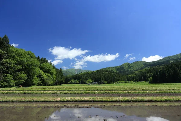 Bahar, pirinç alan, Akita, Japan, peyzaj