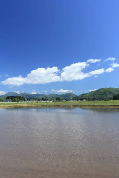 Printemps Rizière Akita Japon Paysage — Photo