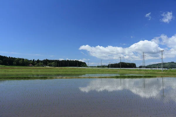 Primavera Campo Arroz Akita Japão Paisagem — Fotografia de Stock