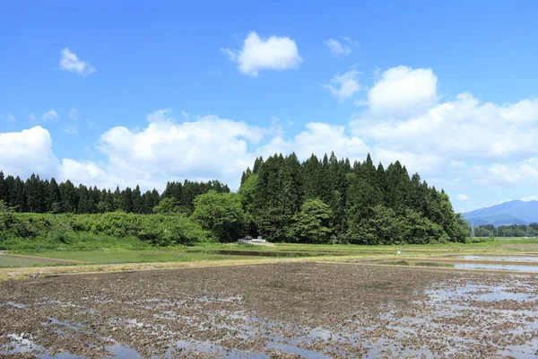 Primavera Campo Arroz Akita Japão Paisagem — Fotografia de Stock