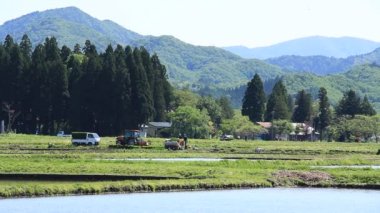 Bahar, pirinç alan, Akita, Japan, peyzaj