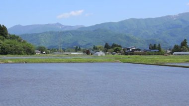 Bahar, pirinç alan, Akita, Japan, peyzaj