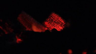 Barbekü kömür yangın duman