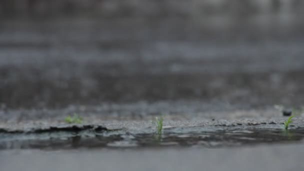 Kropla Deszczu Rainyday — Wideo stockowe