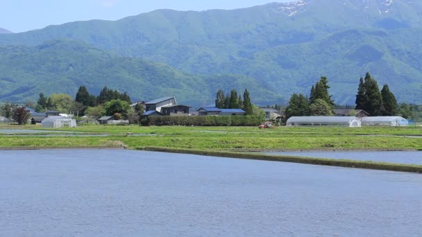 Lente Rijst Veld Akita Japan Landschap — Stockvideo