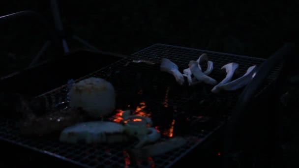 Grillkohle Feuer Rauch — Stockvideo