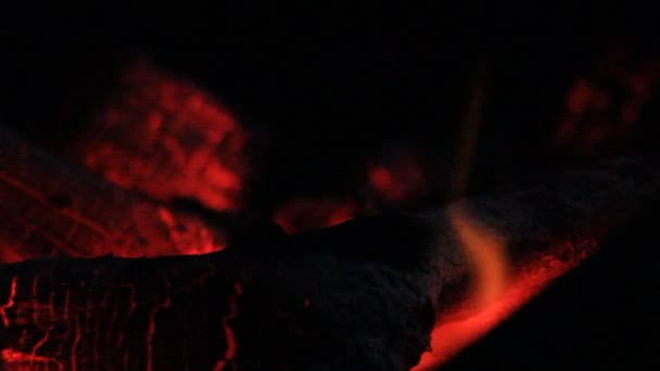 Węgiel Drzewny Ogień Dym — Wideo stockowe