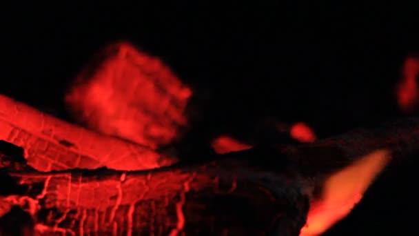 BBQ fumée de feu de charbon 