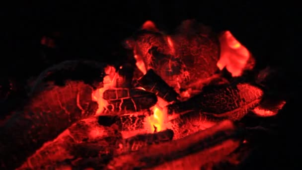 Bbq Charcoal Fire Smoke — Stock Video