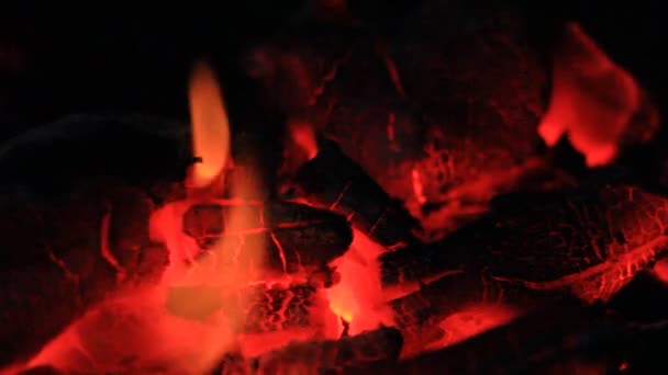 Barbekü Kömür Yangın Duman — Stok video