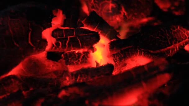 Grillkohle Feuer Rauch — Stockvideo