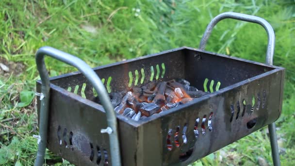 Bbq Fumée Feu Charbon — Video