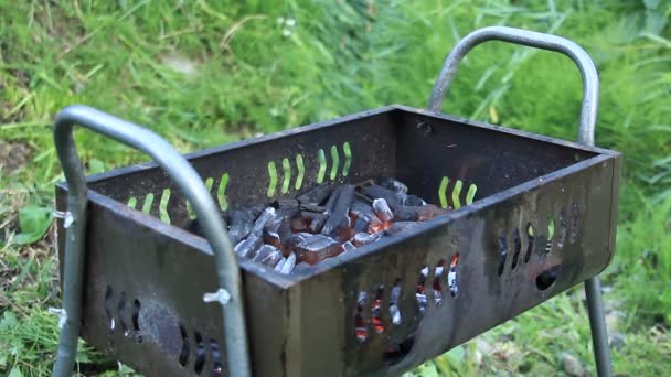 Fum Foc Cărbune Bbq — Videoclip de stoc