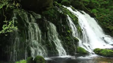 şelale ve ihale yeşil Japonya peyzaj