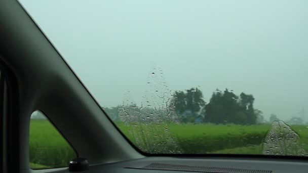 Video Görüntü Yağmurlu Gün Sürüş — Stok video
