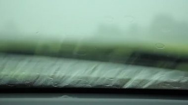 yağmurlu bir gün sürüş