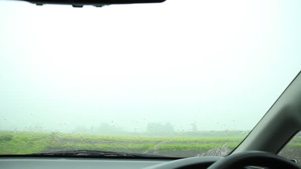 Driving Rainy Day — Stock Video
