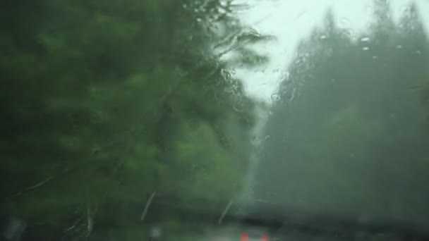 Autofahren Bei Regen — Stockvideo