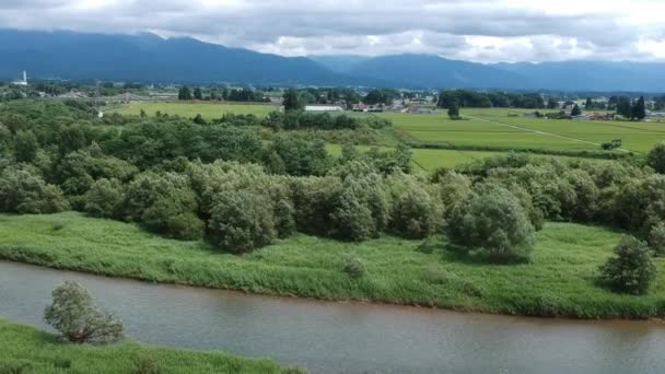 Vista Aérea Verano Japón Campo Arroz Paisaje — Vídeos de Stock