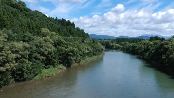 Красивый Пейзаж Японии Воздуха — стоковое видео