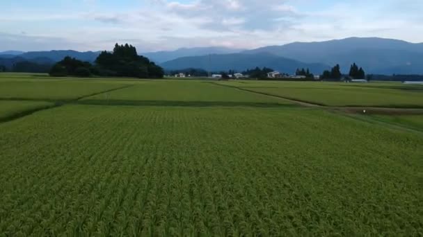 Aerial View Japan Beautiful Landscape — Stock Video