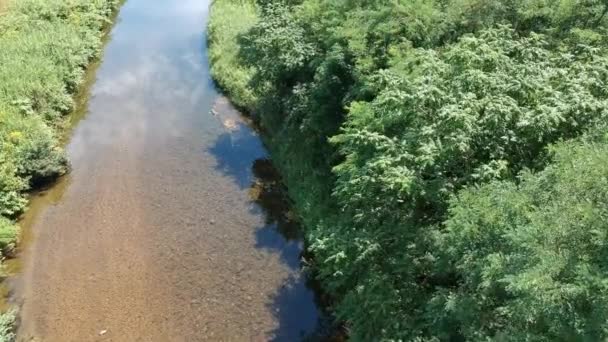 鸟瞰日本自然河景观视频 — 图库视频影像