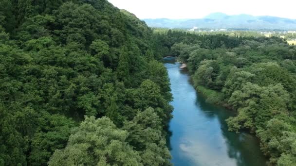Vista Aérea Japonés Naturaleza Río Paisaje Vídeo Filmación — Vídeos de Stock
