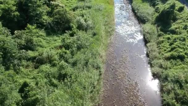 Aerial View Japoński Natura Rzeka Krajobraz Materiał Wideo — Wideo stockowe