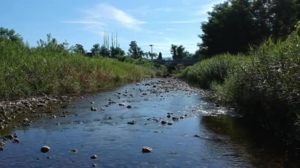 Εναέρια Άποψη Ιαπωνικά Φύση Ποτάμι Τοπίο Πλάνα Βίντεο — Αρχείο Βίντεο