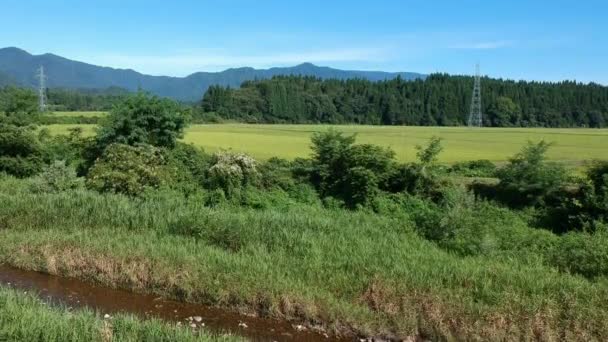 航空写真ビュー日本語自然川風景映像ビデオ — ストック動画