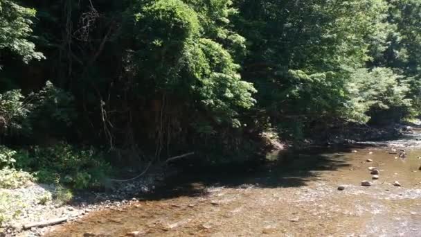 Aerial View Japan Nature River Blue Sky Landscape — Stock Video