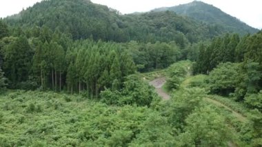 Havadan görünümü Japonca doğa nehir manzara Video görüntüleri