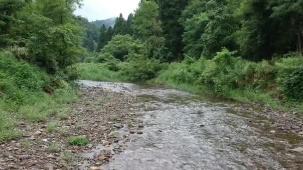 Vista Aérea Japonés Naturaleza Río Paisaje Vídeo Filmación — Vídeos de Stock