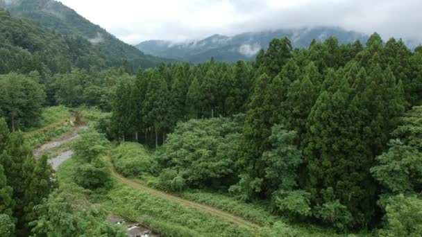 Aerial View Japanese Nature River Landscape Video Footage — Stock Video