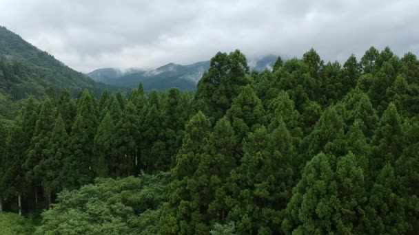Aerial View Japansk Natur Floden Landskap Videofilmer — Stockvideo