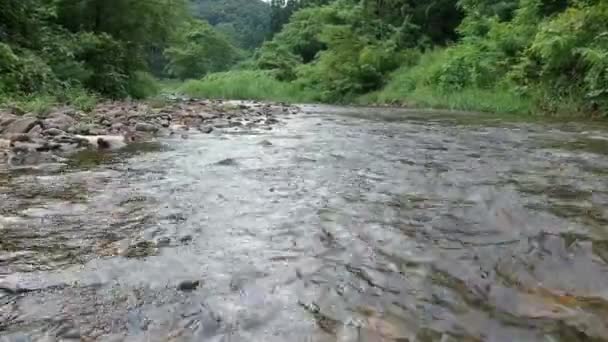 Vidéo Aérienne Japonais Nature Rivière Paysage Vue Aérienne — Video