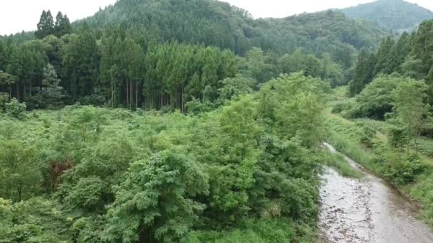 Aerial View Japanese Nature River Landscape Video Footage — Stock Video