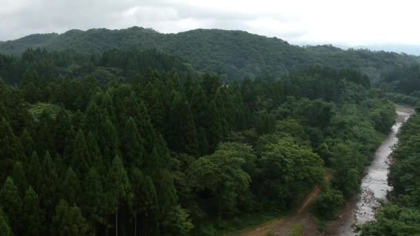 Aerial View Japoński Natura Rzeka Krajobraz Materiał Wideo — Wideo stockowe