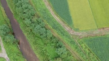 Havadan görünümü Japonca doğa nehir manzara Video görüntüleri