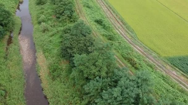 Luftfoto Japansk Natur Flod Landskab Video Optagelser – Stock-video