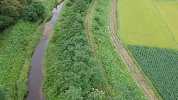 Vista Aérea Japonés Naturaleza Río Paisaje Vídeo Filmación — Vídeo de stock