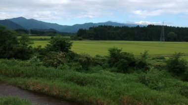 Havadan görünümü Japonca doğa nehir manzara görüntüleri Video