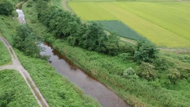 Vista Aérea Japonês Natureza Rio Paisagem Vídeo Filmagem — Vídeo de Stock