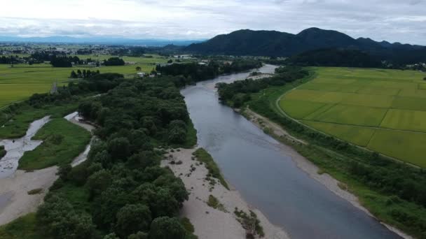 Luftaufnahme Herbst Reisohren Landschaft Akita Japan — Stockvideo