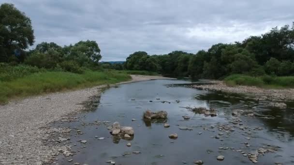 Luftaufnahme Japanische Natur Flusslandschaft Videomaterial — Stockvideo